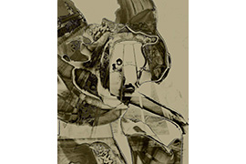 GUILLERMO BOGANI