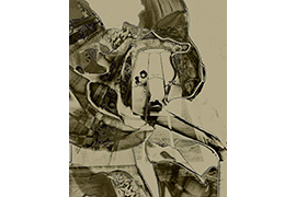 GUILLERMO BOGANI