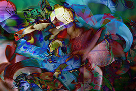 GUILLERMO BOGANI