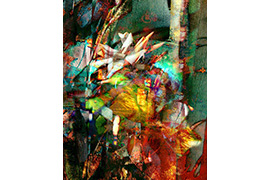 GUILLERMO BOGANI