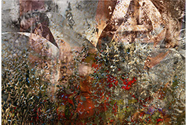 GUILLERMO BOGANI